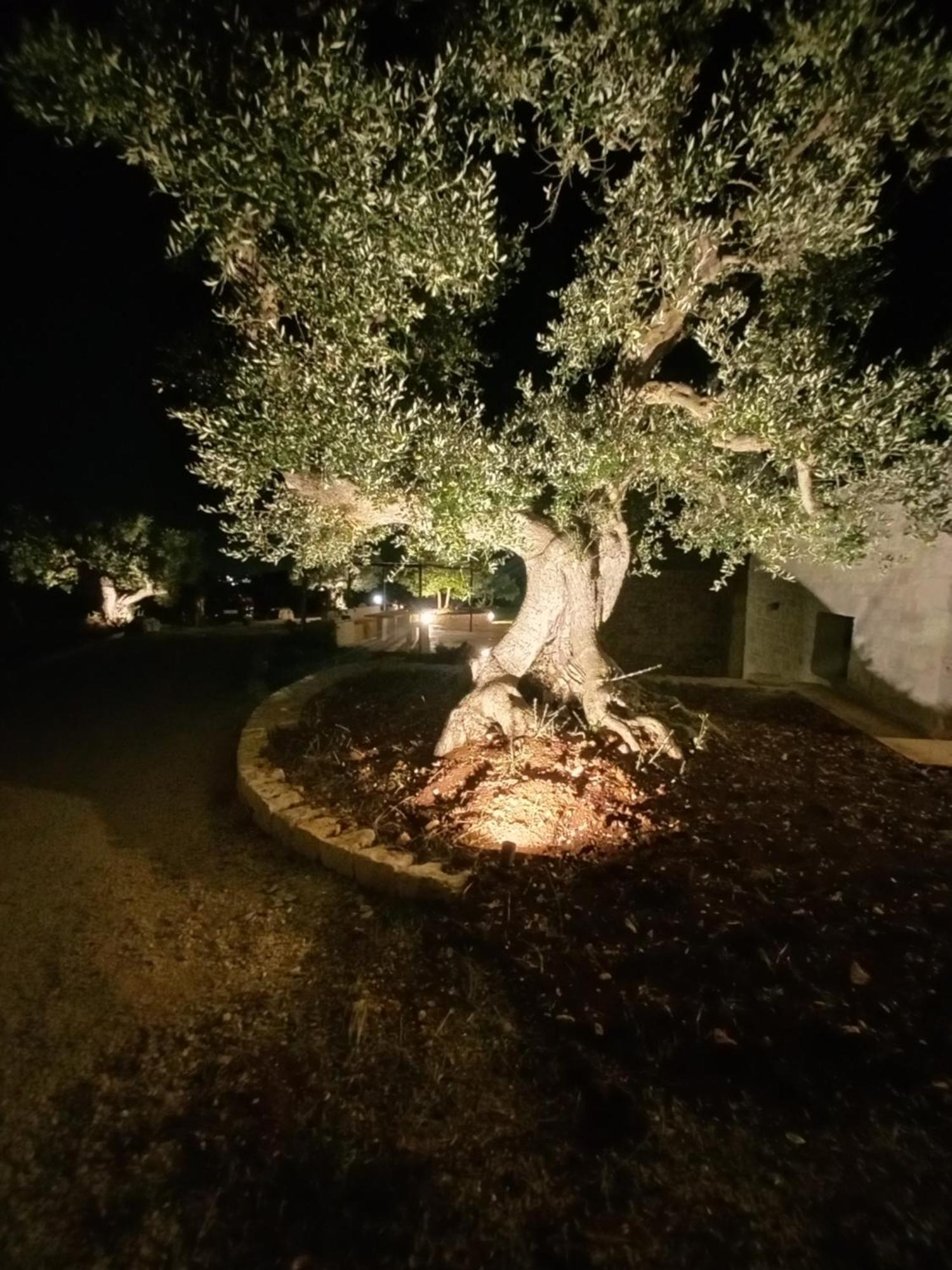 Il Nido Delle Rondini Cisternino Exterior foto