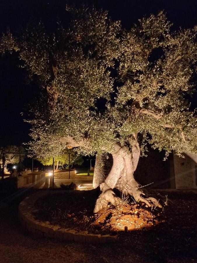 Il Nido Delle Rondini Cisternino Exterior foto